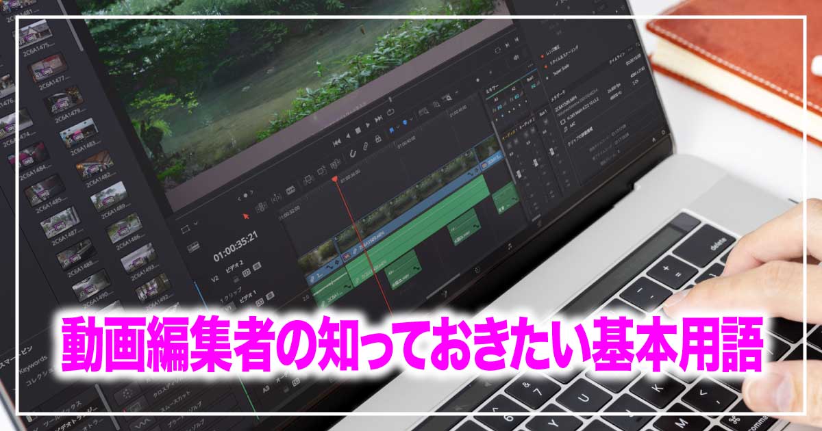 動画編集初心者向け：知っておきたい基本用語とその役割のアイキャッチ画像